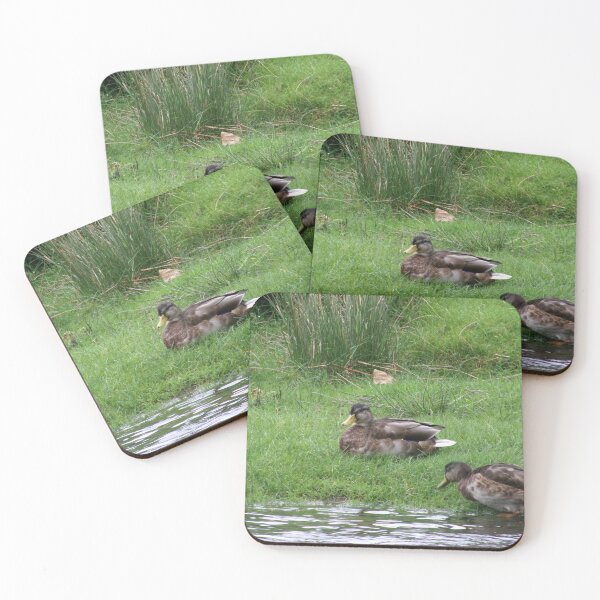 Item preview, Ducks designed and sold by GooglyEyes-.