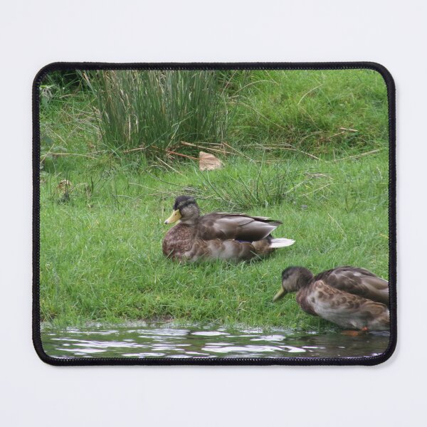 Item preview, Ducks designed and sold by GooglyEyes-.