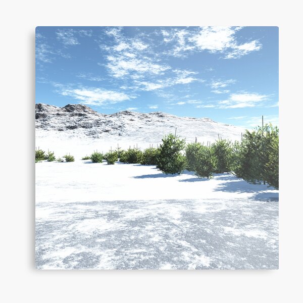 Snow in Summer Metal Print