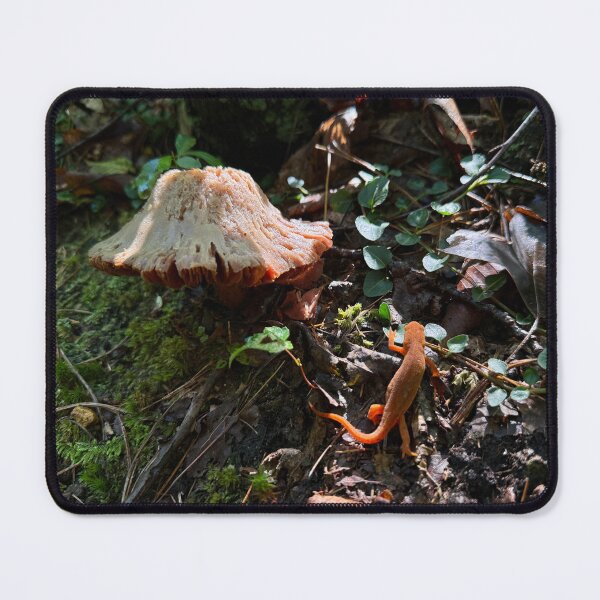 Item preview, Mushroom Forest designed and sold by Alexander Krishchyunas.
