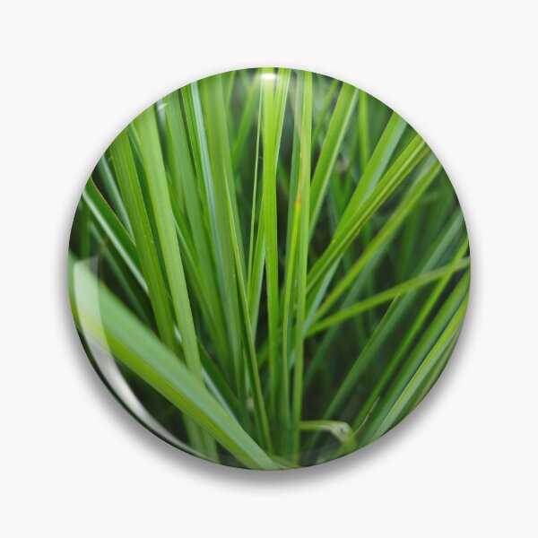 Item preview, Fresh Lemongrass Plant Close Up designed and sold by NatureLifeDjuka.