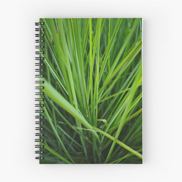 Item preview, Fresh Lemongrass Plant Close Up designed and sold by NatureLifeDjuka.