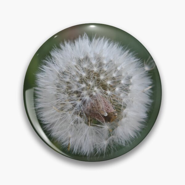 Item preview, Fluffy White Dandelion Puff designed and sold by NatureLifeDjuka.