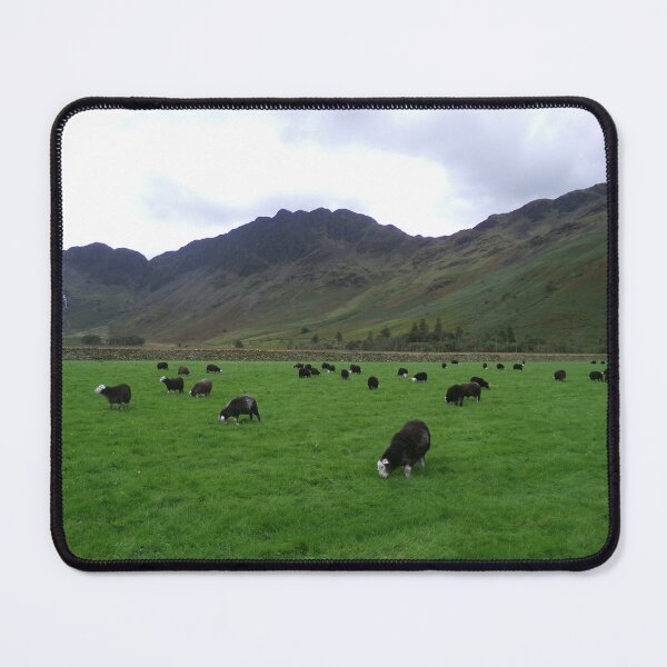 Item preview, Sheep at Buttermere designed and sold by GooglyEyes-.