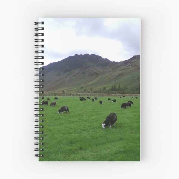 Item preview, Sheep at Buttermere designed and sold by GooglyEyes-.