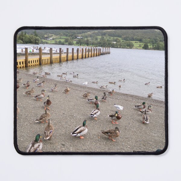 Item preview, Ducks at Coniston designed and sold by GooglyEyes-.