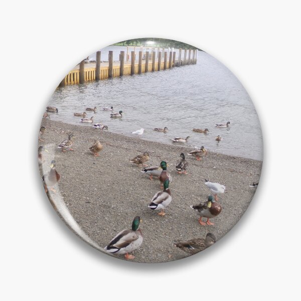 Item preview, Ducks at Coniston designed and sold by GooglyEyes-.
