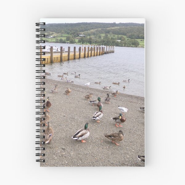 Item preview, Ducks at Coniston designed and sold by GooglyEyes-.