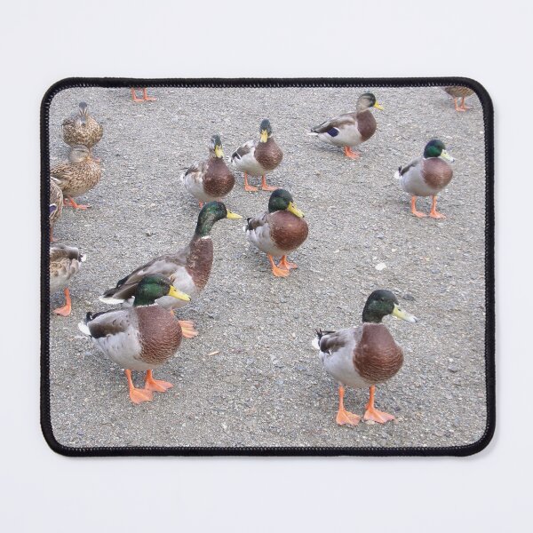 Item preview, Ducks at Coniston designed and sold by GooglyEyes-.