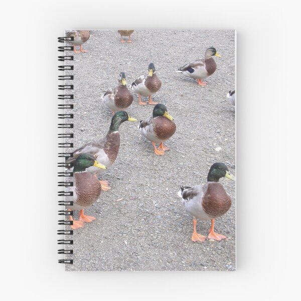 Item preview, Ducks at Coniston designed and sold by GooglyEyes-.