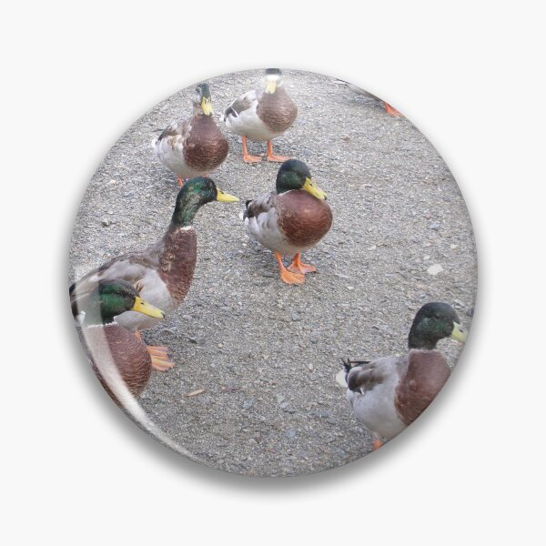 Item preview, Ducks at Coniston designed and sold by GooglyEyes-.