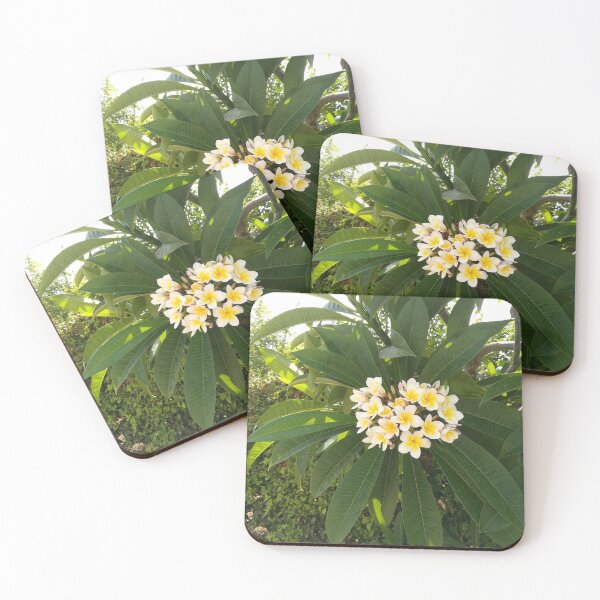 Item preview, Sun of frangipani leaves designed and sold by Anna-Art-Studio.