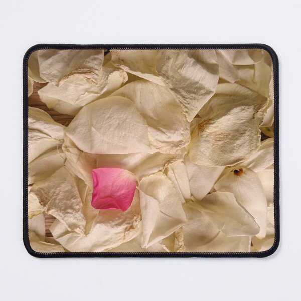 Item preview, The Pink One, Cream Rose Petals Conceptual Photography designed and sold by PrettyAround.