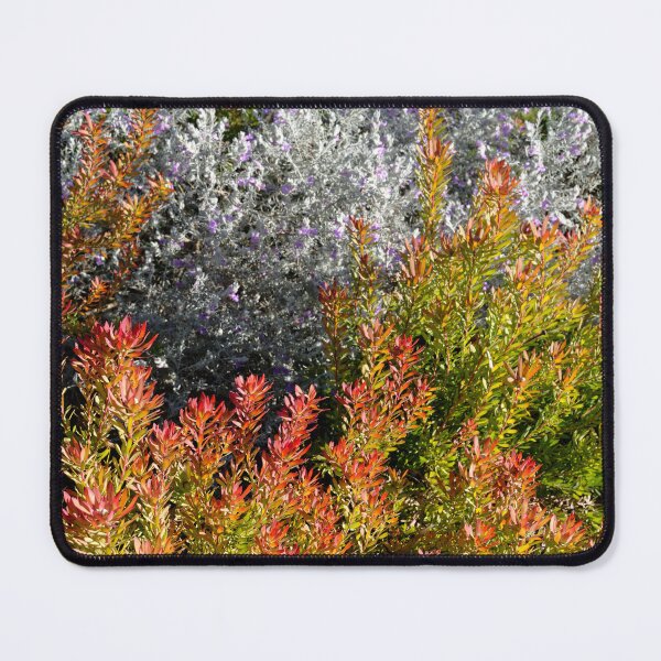 Item preview, Colourful foliage designed and sold by Mark Prior.