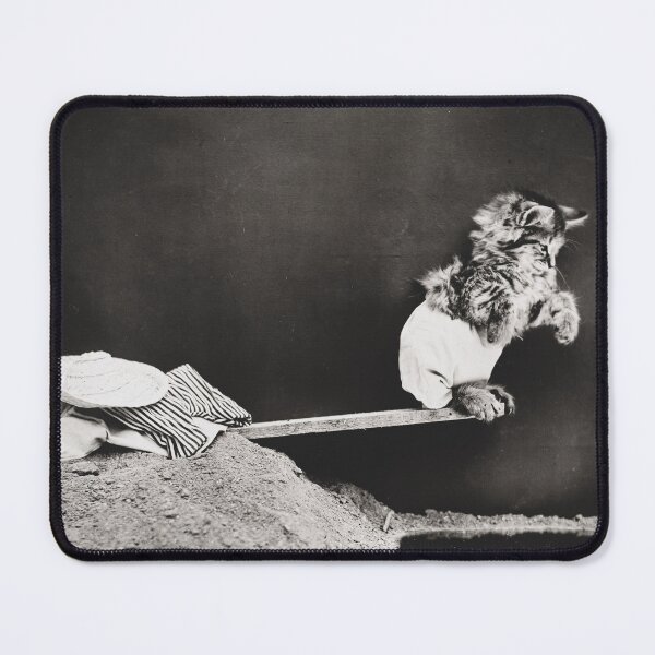Item preview, Funny kitten walking the plank, ready or not, humorous vintage black and white cat photograph designed and sold by Astrid Arkhangelsky.