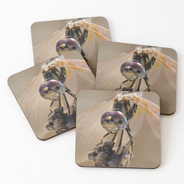 Item preview, Female Orange-winged Dropwing Dragonfly Macro designed and sold by Ralph Goldsmith.