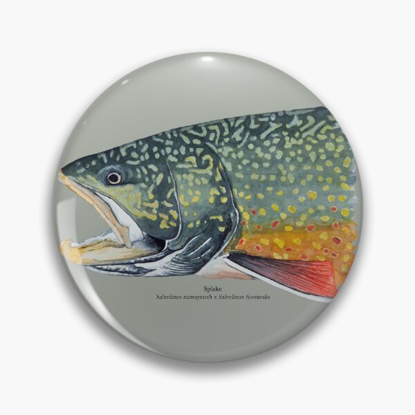 Item preview, Splake Painting  designed and sold by Stephen Emms.