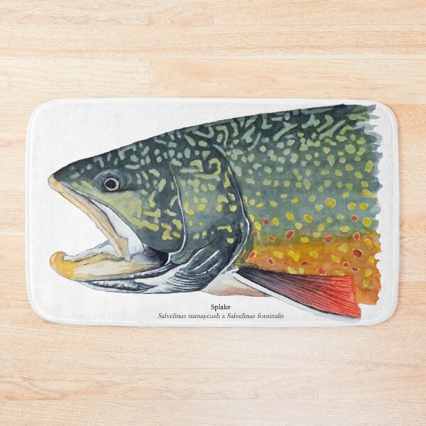 Item preview, Splake Painting  designed and sold by Stephen Emms.