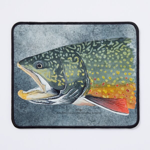 Item preview, Splake Painting designed and sold by Stephen Emms.
