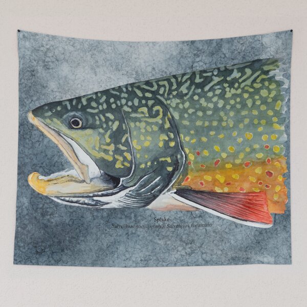 Item preview, Splake Painting  designed and sold by Stephen Emms.