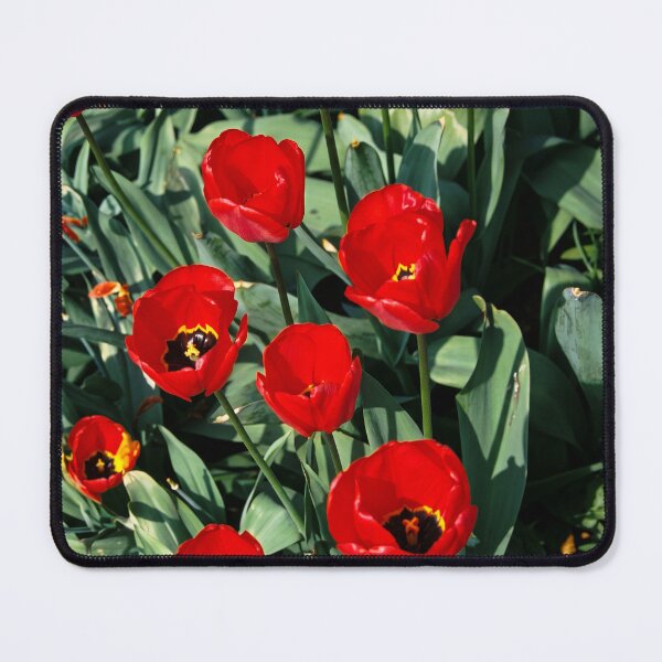 Item preview, Crimson Blooms: Vibrant Red Tulips in Spring designed and sold by ArtworkNorth.