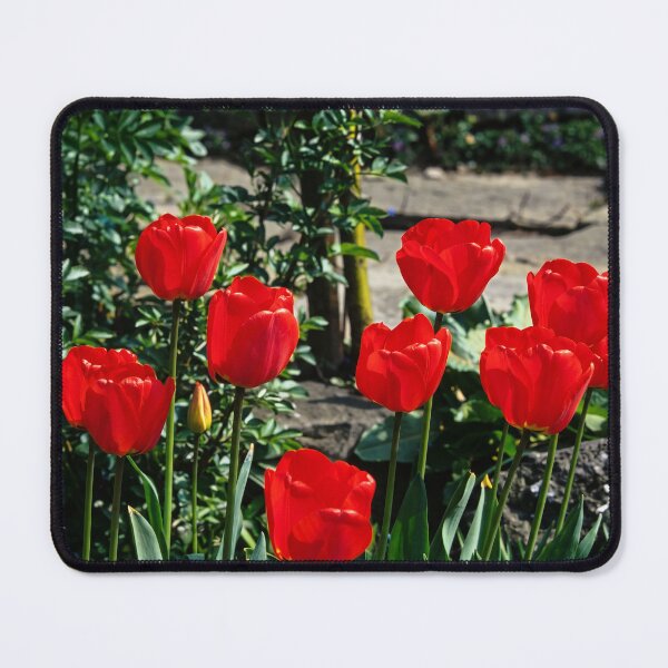 Item preview, Vibrant Red Tulips in Spring Bloom designed and sold by ArtworkNorth.