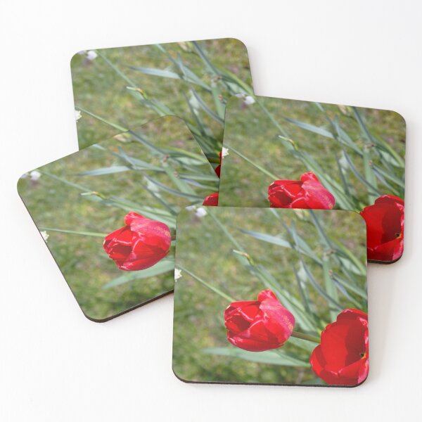 Item preview, Vibrant Red Tulips in Spring Bloom designed and sold by ArtworkNorth.