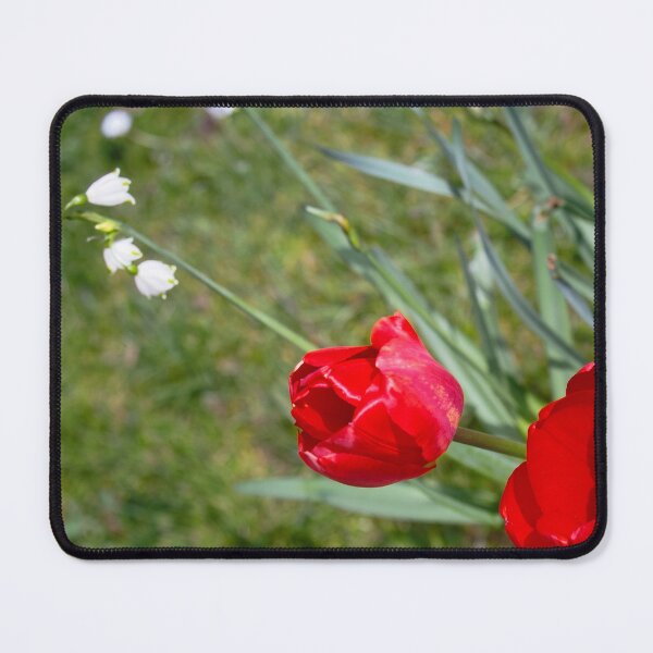 Item preview, Vibrant Red Tulips in Spring Bloom designed and sold by ArtworkNorth.