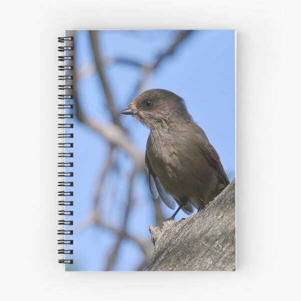 Item preview, Feeling gray. Siberian jay designed and sold by Jouko Lehto Photography.