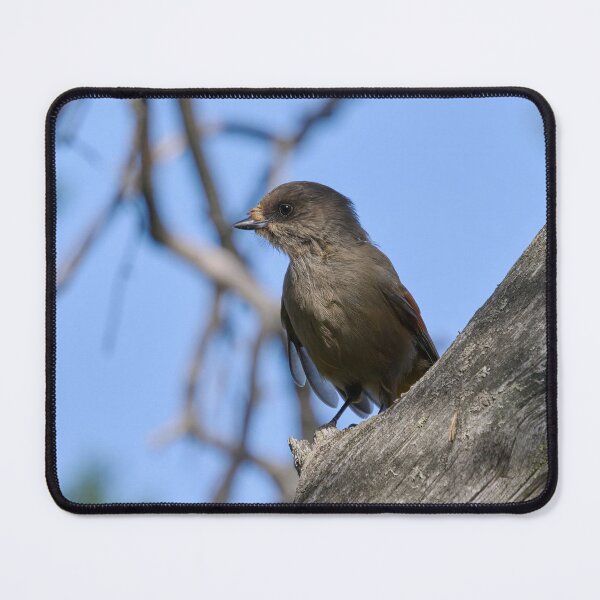 Item preview, Feeling gray. Siberian jay designed and sold by Jouko Lehto Photography.