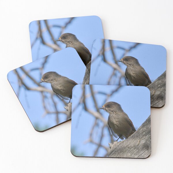 Item preview, Feeling gray. Siberian jay designed and sold by Jouko Lehto Photography.