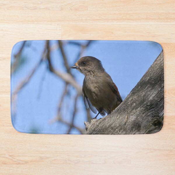 Item preview, Feeling gray. Siberian jay designed and sold by Jouko Lehto Photography.