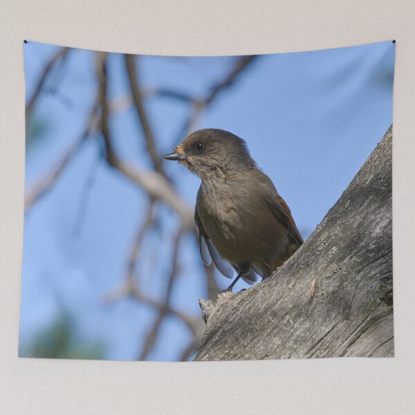 Item preview, Feeling gray. Siberian jay designed and sold by Jouko Lehto Photography.