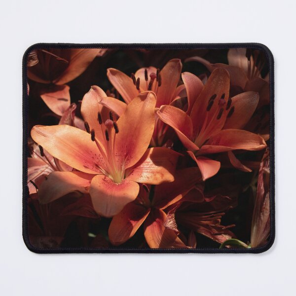 Item preview, Lilies in the Light designed and sold by Anjuna Sainath.