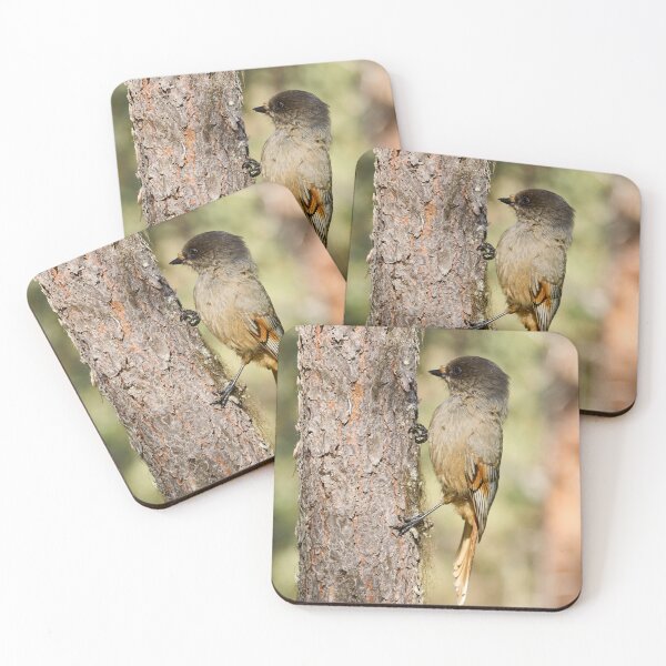 Item preview, Hold on. Siberian jay designed and sold by Jouko Lehto Photography.