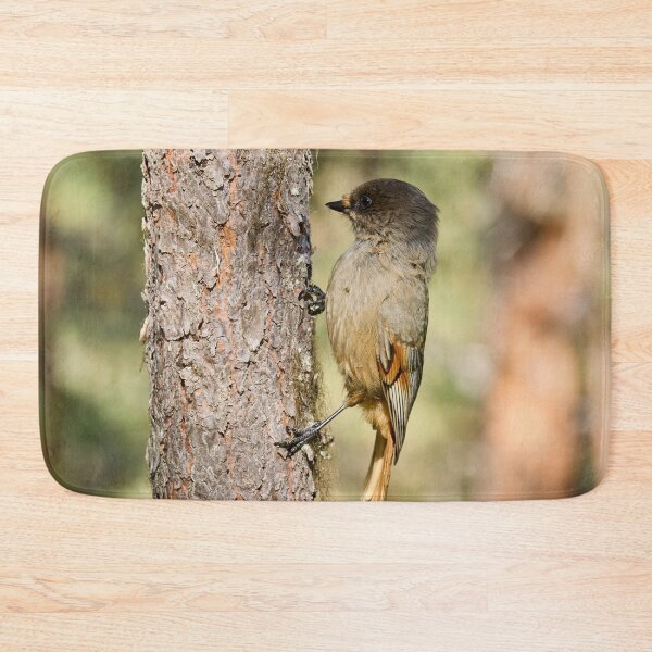 Item preview, Hold on. Siberian jay designed and sold by Jouko Lehto Photography.