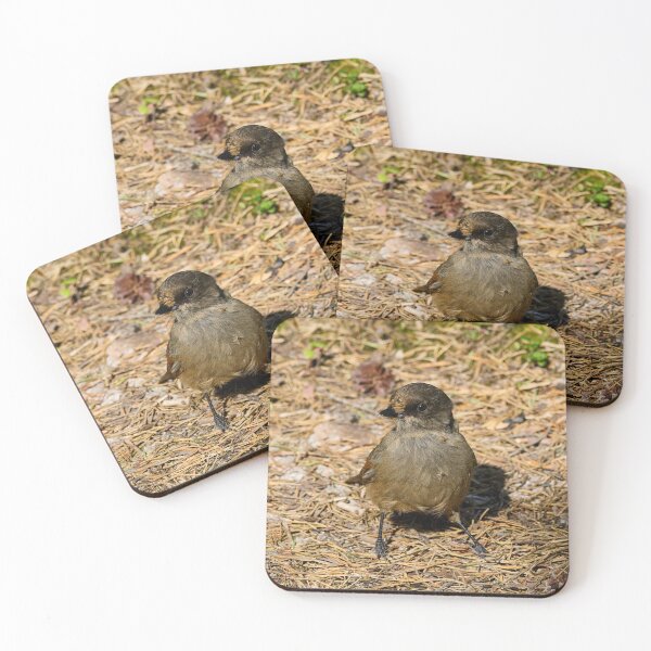 Item preview, On the ground. Siberian jay designed and sold by Jouko Lehto Photography.