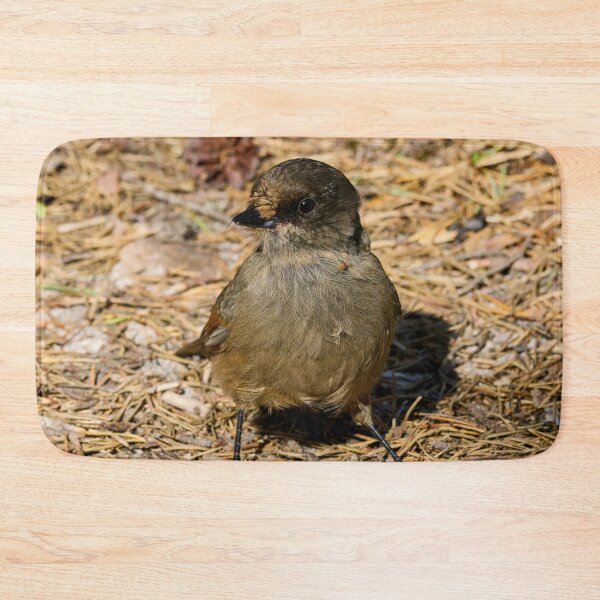 Item preview, On the ground. Siberian jay designed and sold by Jouko Lehto Photography.