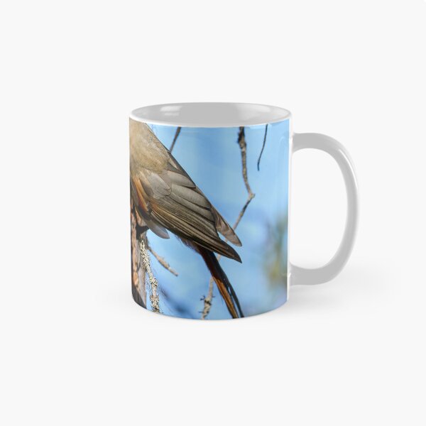 Item preview, To go or not. Siberian jay designed and sold by Jouko Lehto Photography.