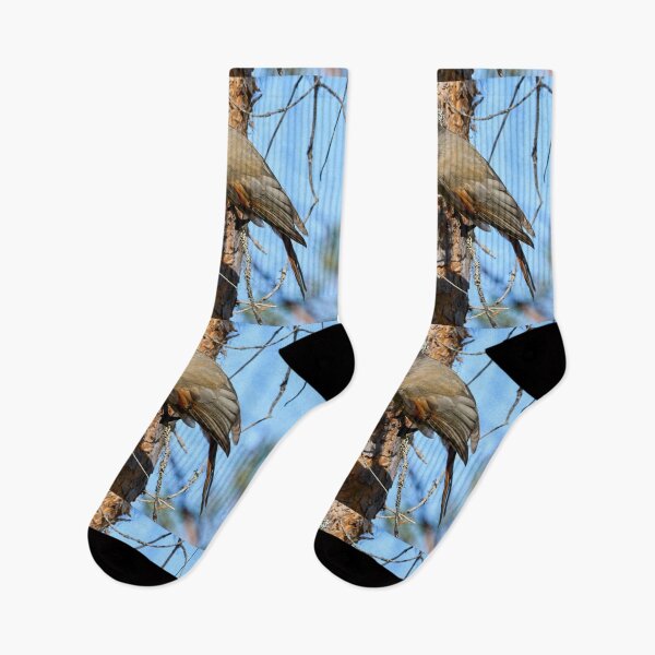 Item preview, To go or not. Siberian jay designed and sold by Jouko Lehto Photography.