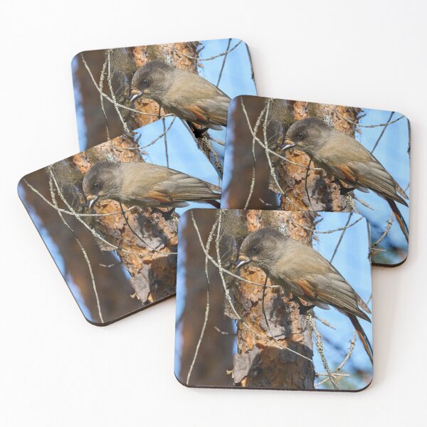 Item preview, To go or not. Siberian jay designed and sold by Jouko Lehto Photography.