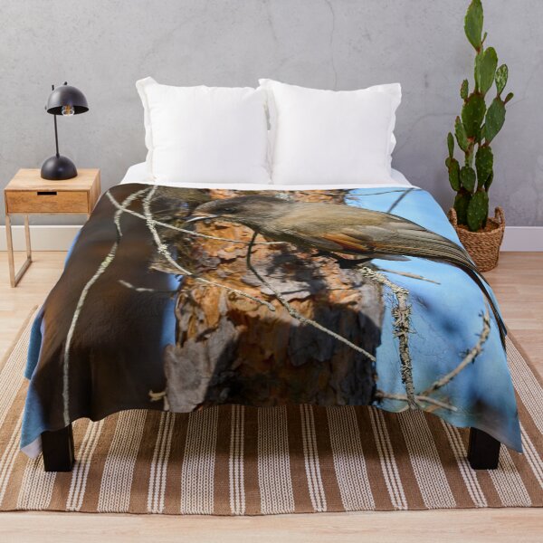 Item preview, To go or not. Siberian jay designed and sold by Jouko Lehto Photography.