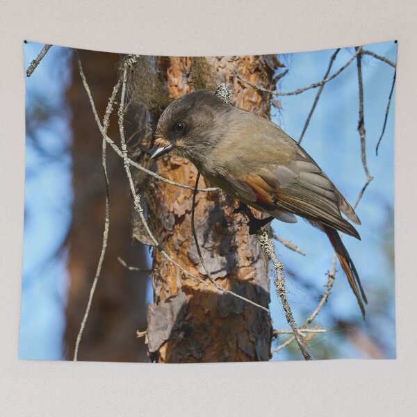 Item preview, To go or not. Siberian jay designed and sold by Jouko Lehto Photography.