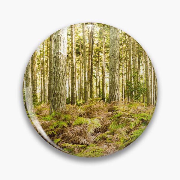 Item preview, Ancient Woburn Sands Woods designed and sold by Jim Key.