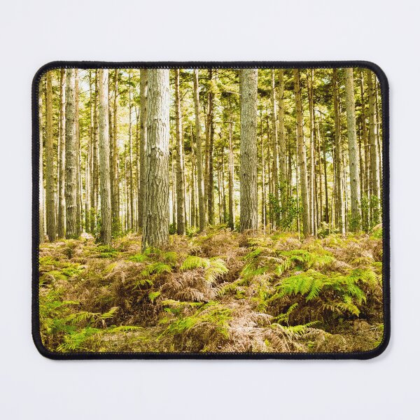 Item preview, Ancient Woburn Sands Woods designed and sold by Jim Key.