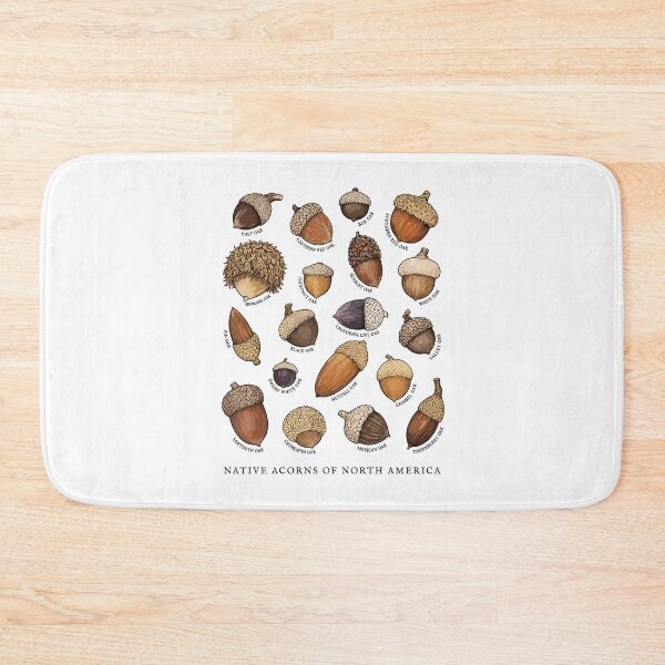 Item preview, Native Acorns of North America Tree Botanical Identification  designed and sold by Designart68.