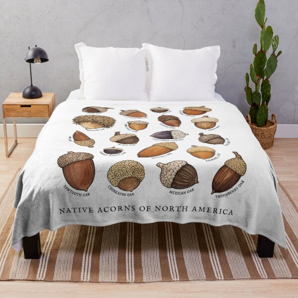 Item preview, Native Acorns of North America Tree Botanical Identification  designed and sold by Designart68.