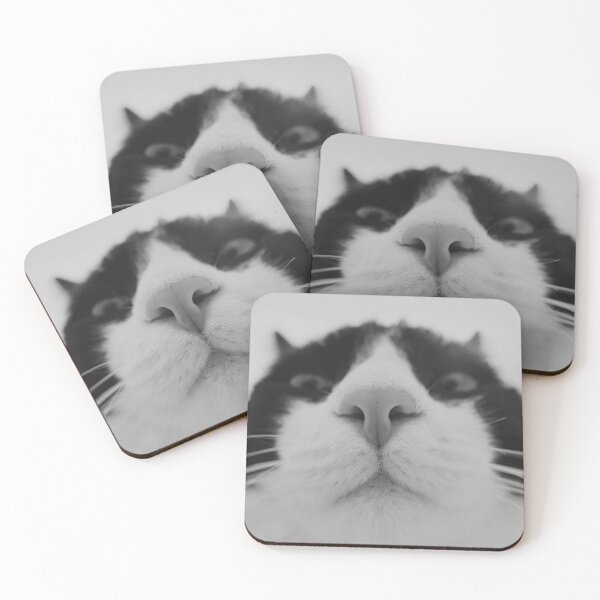 Item preview, Black and White Cat Selfie Feline Nose and Whiskers Photo designed and sold by HYPNK.