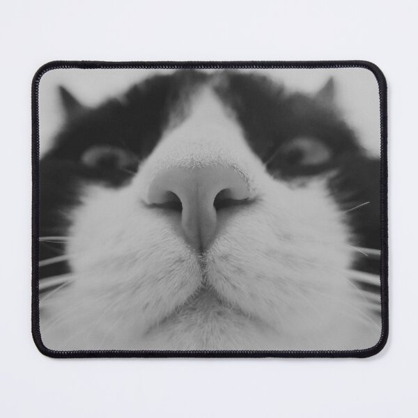 Item preview, Black and White Cat Selfie Feline Nose and Whiskers Photo designed and sold by HYPNK.