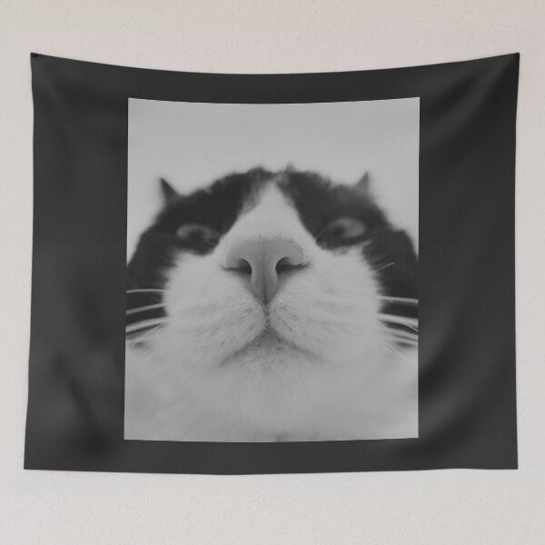 Item preview, Black and White Cat Selfie Feline Nose and Whiskers Photo designed and sold by HYPNK.